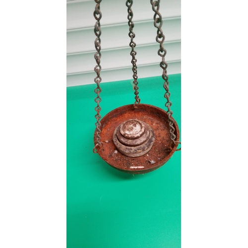 1137 - A.F Lee Bury St Edmunds Balance Scales with Weights.