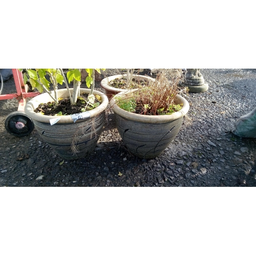 61 - 2 x Matching Glazed  Pots and 1 other with Mulberry Bush