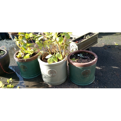 52B - 3 x Heritage Garden Glazed Planters : 2 x Dark Green, 1 x Olive Green