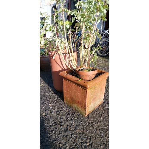 52E - A Tall Round Clay Planter and a Square Planter and 2 x more