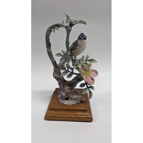 367 - A Royal Worcestershire Lesser White Throat Sylvia Curruca and Wild Rose Ornament