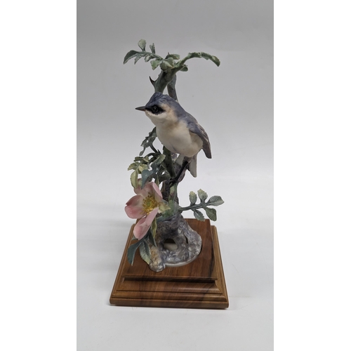 367 - A Royal Worcestershire Lesser White Throat Sylvia Curruca and Wild Rose Ornament