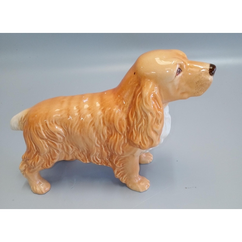 383 - Vintage Cocker Spaniel Ornament Standing 15cm High.