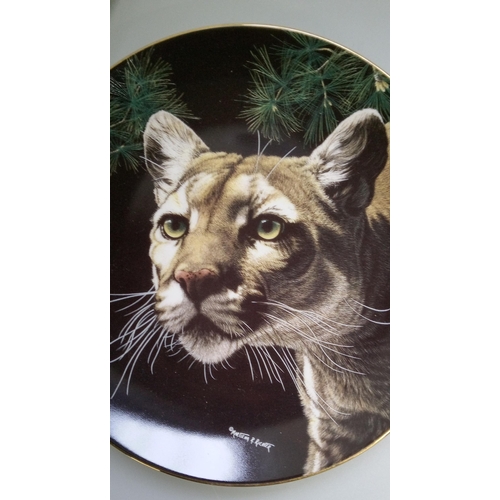 11 - A Collection Of Big Cat Plates.