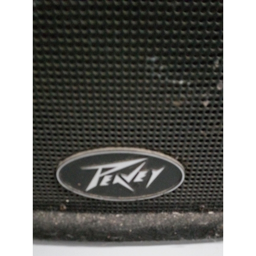 301 - A Peavey ST12 PA Speaker. Working.