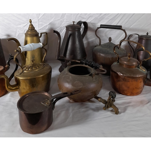 200 - A GROUP OF 19TH CENTURY MIXED BRASS AND COPPER WARES, the lot consisting of kettles, hot water jugs,... 