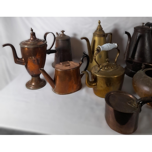 200 - A GROUP OF 19TH CENTURY MIXED BRASS AND COPPER WARES, the lot consisting of kettles, hot water jugs,... 