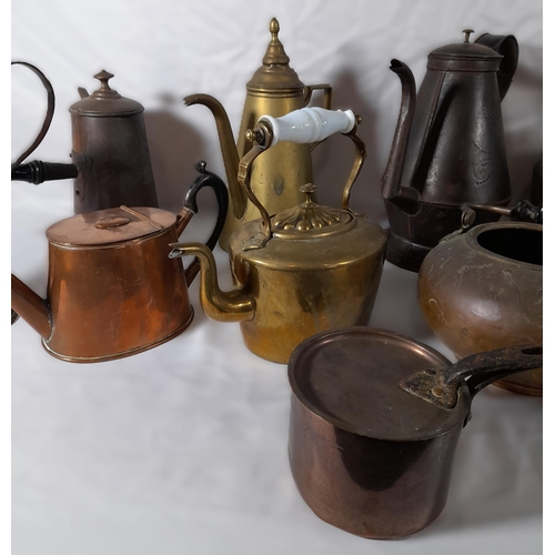 200 - A GROUP OF 19TH CENTURY MIXED BRASS AND COPPER WARES, the lot consisting of kettles, hot water jugs,... 