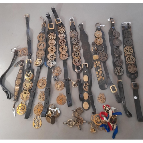 227 - A COLLECTION OF PREDOMINANTLY 19TH CENTURY LEATHER MARTINGALE STRAPS WITH ASSOCIATED HORSE BRASSES A... 