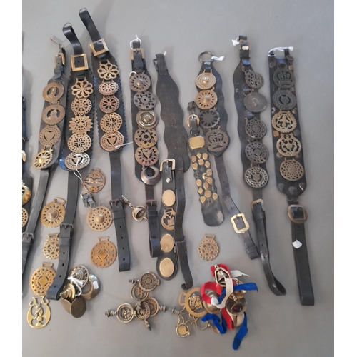 227 - A COLLECTION OF PREDOMINANTLY 19TH CENTURY LEATHER MARTINGALE STRAPS WITH ASSOCIATED HORSE BRASSES A... 