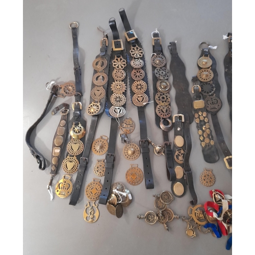 227 - A COLLECTION OF PREDOMINANTLY 19TH CENTURY LEATHER MARTINGALE STRAPS WITH ASSOCIATED HORSE BRASSES A... 