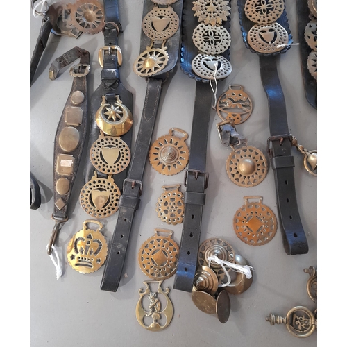 227 - A COLLECTION OF PREDOMINANTLY 19TH CENTURY LEATHER MARTINGALE STRAPS WITH ASSOCIATED HORSE BRASSES A... 