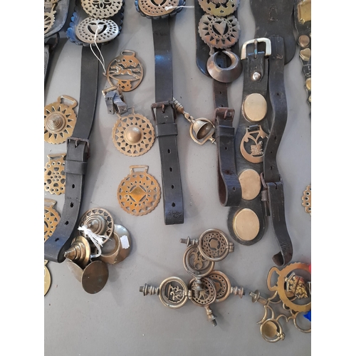 227 - A COLLECTION OF PREDOMINANTLY 19TH CENTURY LEATHER MARTINGALE STRAPS WITH ASSOCIATED HORSE BRASSES A... 