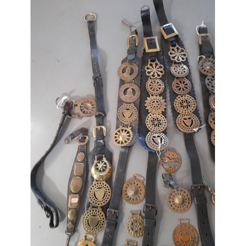 227 - A COLLECTION OF PREDOMINANTLY 19TH CENTURY LEATHER MARTINGALE STRAPS WITH ASSOCIATED HORSE BRASSES A... 