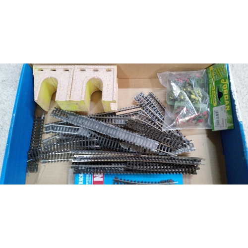 1258 - A Quantity of N Gauge Track and Scenery.