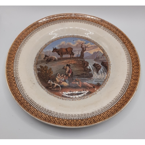 263 - A Large Selection of Decorative Plates including a Set of 12 Matching as Pictured.