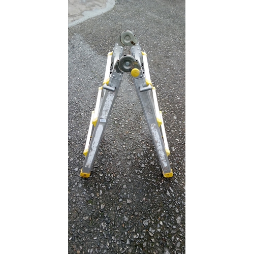 206C - Adjustable Step Ladder.