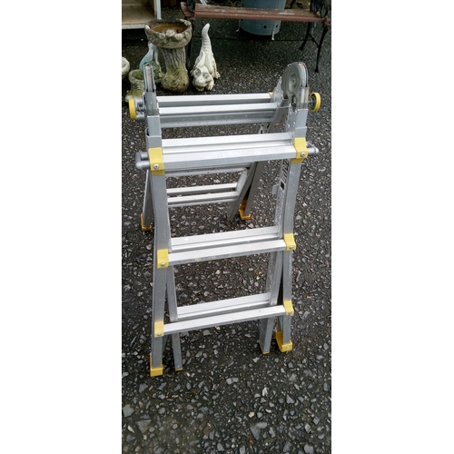 206C - Adjustable Step Ladder.