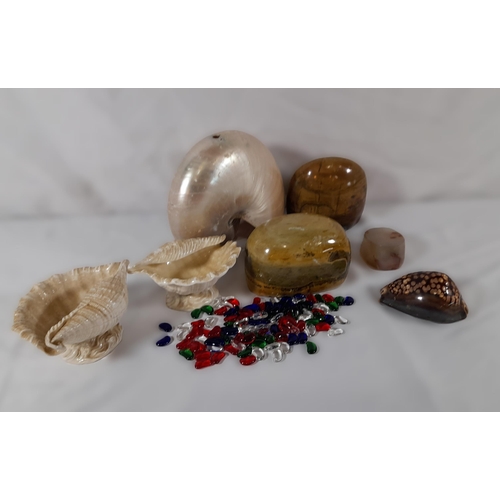 274 - A Mixed Lot of Shells and Polished Stones with Glass Gems.