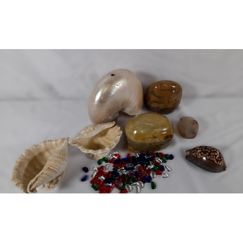 274 - A Mixed Lot of Shells and Polished Stones with Glass Gems.