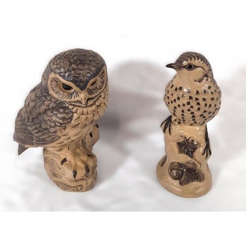 290 - A Pair of Poole Pottery Stoneware Bird Ornaments, a Mistle Thrush and an Owl which is Signed on Base... 