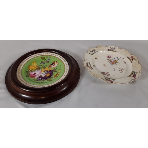 393 - 2 Antique Plates, one Mounted in a Dark Wood Frame. 
A Bird Plate Circa 1755, Chelsea, No Chips or C... 