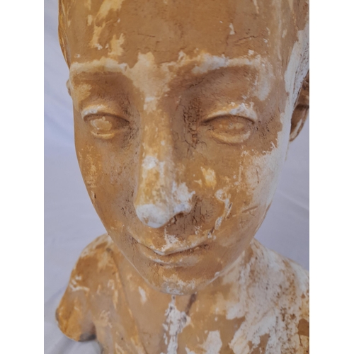 384A - A Plaster Bust of a Boy. Height 38cm, Width 32cm. Some Damage as Pictured.