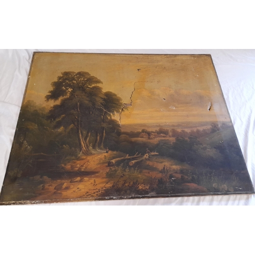 503 - A Collection of Original Oil Landscapes on canvas and Board. Some with damage as pictured.