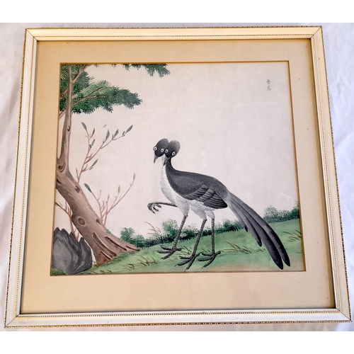 540 - An Oriental Watercolour of A Pair of Stork Type Birds. 36cm H x 34.5cm W.