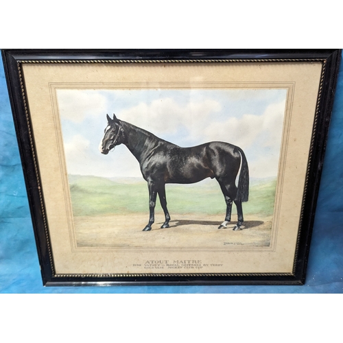 834 - 3 x Equestrian Themed Engravings