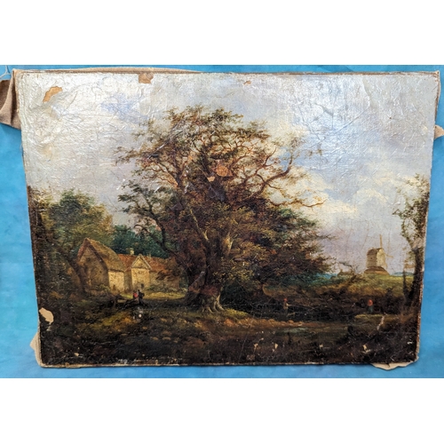 846 - 3 x Antique Oil Paintings - Largest 60 x 46cm