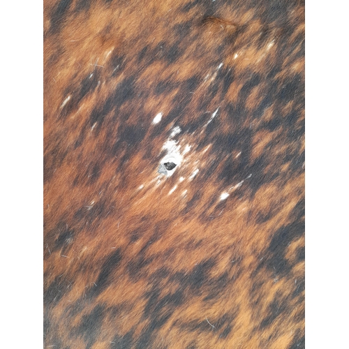 118B - A Large Cowhide Rug.