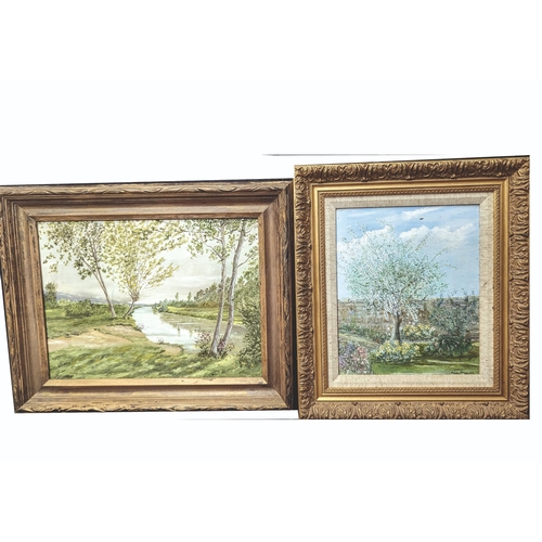 768 - A pair of framed oil on boards by Mary Maxwell - 44 x 38cm and 42 x 50cm