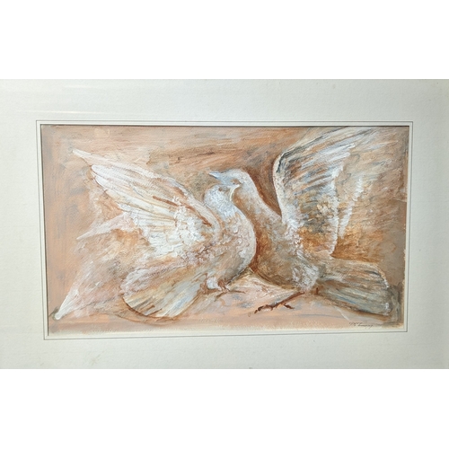 791 - A pastel drawing of Doves, framed under glass - Signed. 62 x 43cm in frame.