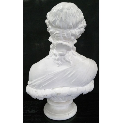 495 - A Bust of Clytie. 35cm H x 27cm x 16cm.