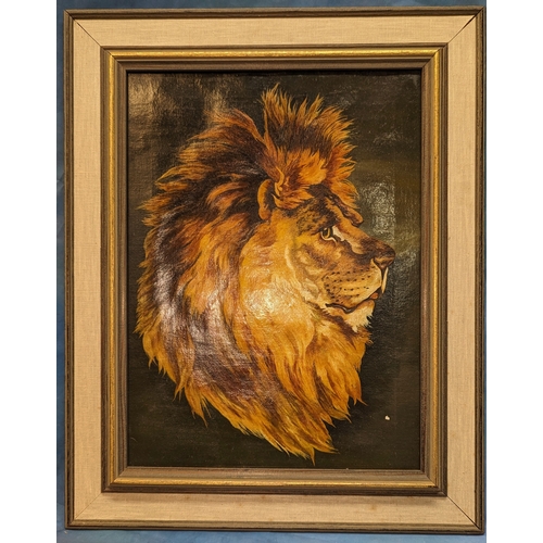 749 - Lion Oil Painting