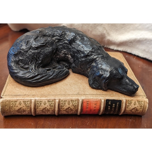 228 - Antique Richard Rohac Labrador Sleeping on Gardeners History  of England Base