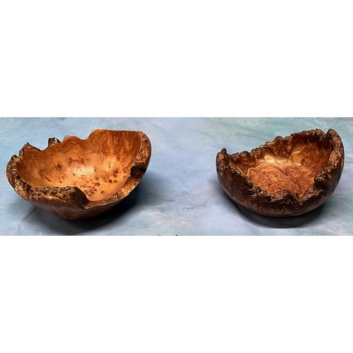 19 - A collection of hand turned wooden plant pot holders and dishes by Terry Harvey & Sons - Lime Burr, ... 