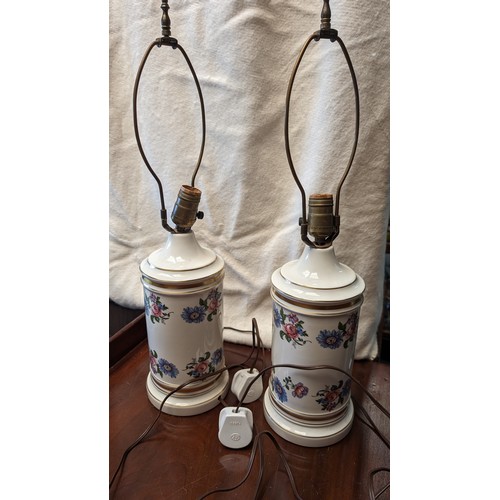 235 - 2x French country apothecary porcelain floral tube lamps