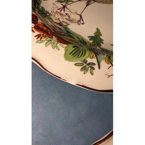 170 - 10 x Mottahedeh Williamsburg Chelsea Bird Plates - 1 chipped as pictured