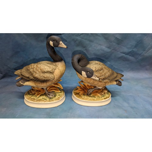 194 - A Pair of Ceramics Canada Goose Ornaments by 