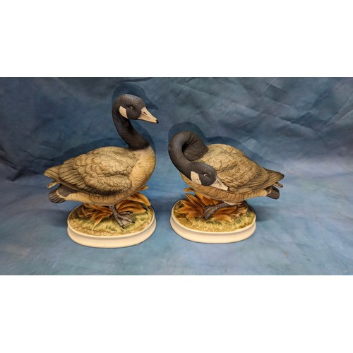 194 - A Pair of Ceramics Canada Goose Ornaments by 