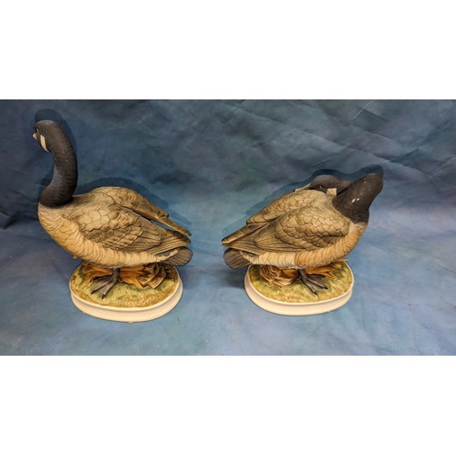 194 - A Pair of Ceramics Canada Goose Ornaments by 