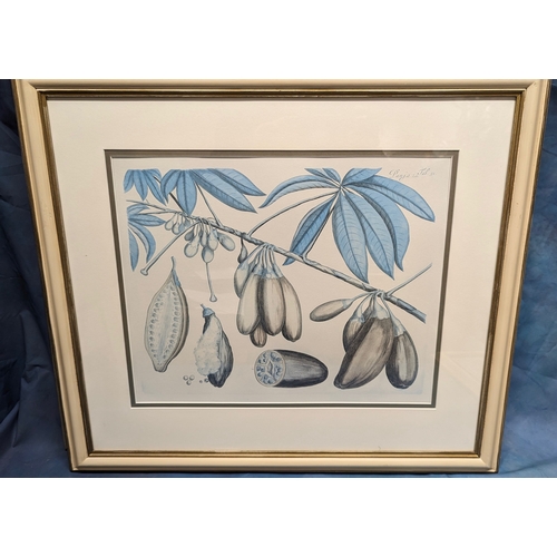 675 - 4 large Botanical prints in cream frames - 70 x 64cm