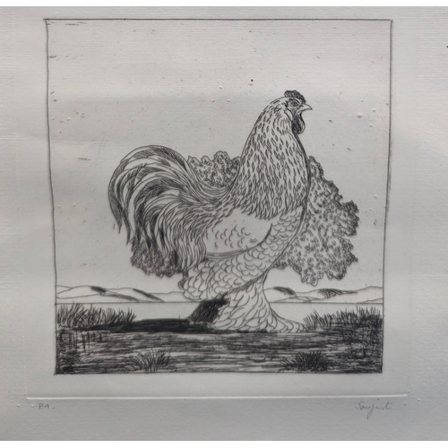 707 - An ink drawing of a Bantam Chicken - 53 x 38cm in frame