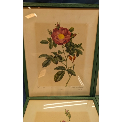 713 - 4 French floral prints - 33 x 43cm in frames