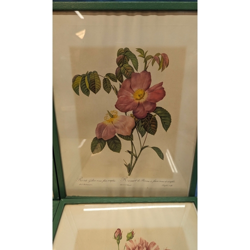 713 - 4 French floral prints - 33 x 43cm in frames