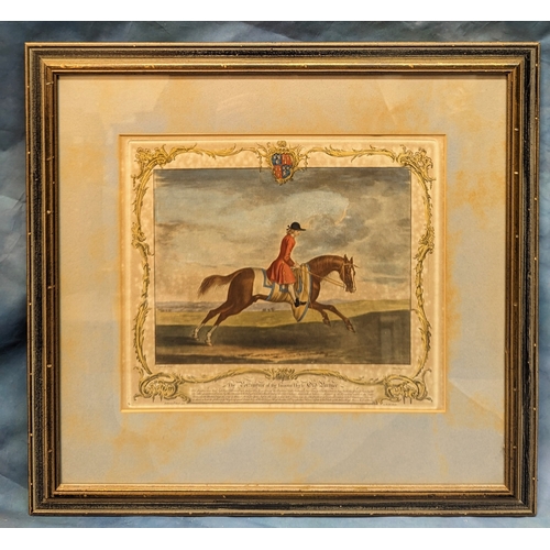 728 - A 1735 hand coloured engraving - 'A portrait of a famous horse - Old Partner' - 57 x 54cm