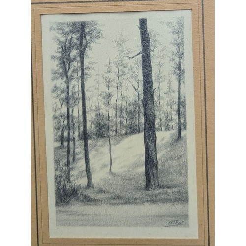 766 - A pair of antique engravings of trees