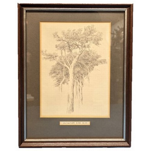 797 - An Pencil Sketch of Trees by Arthur George Walker RA FRBS 1861-1939. 36cm H x 28cm W In Frame.

Arth... 